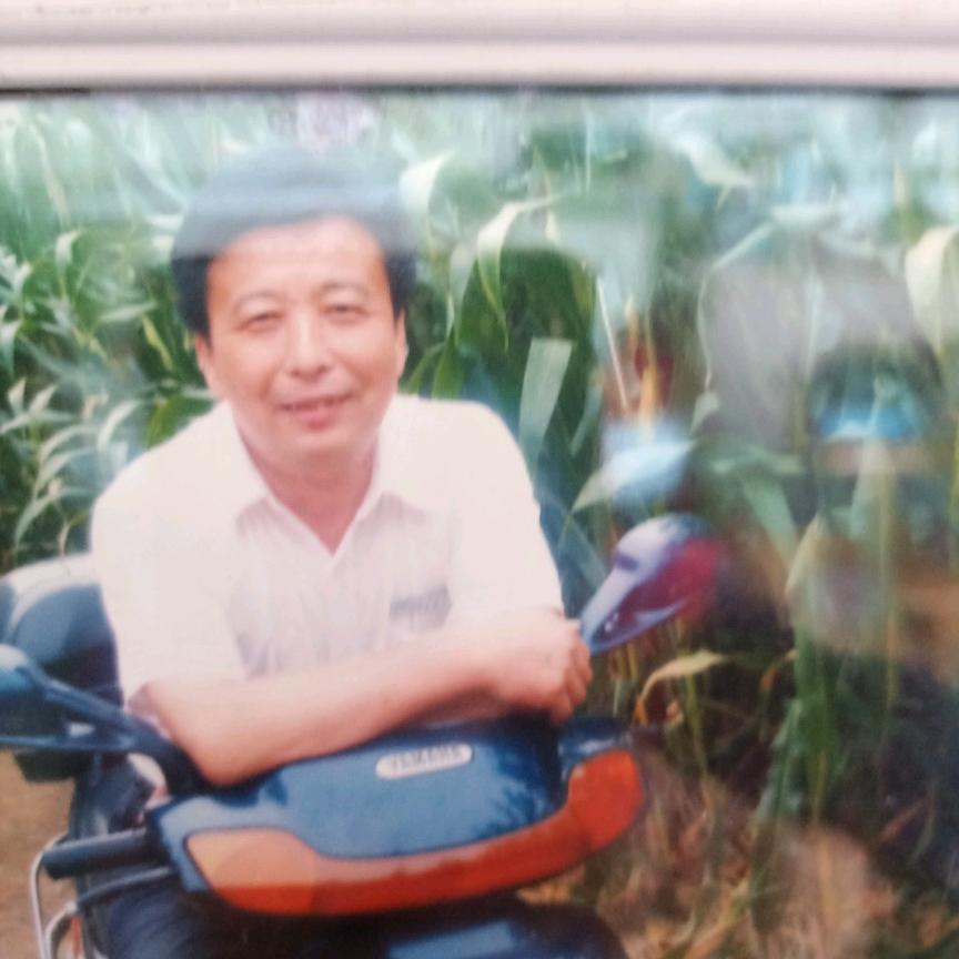 富豪赘婿心遥妈妈头像