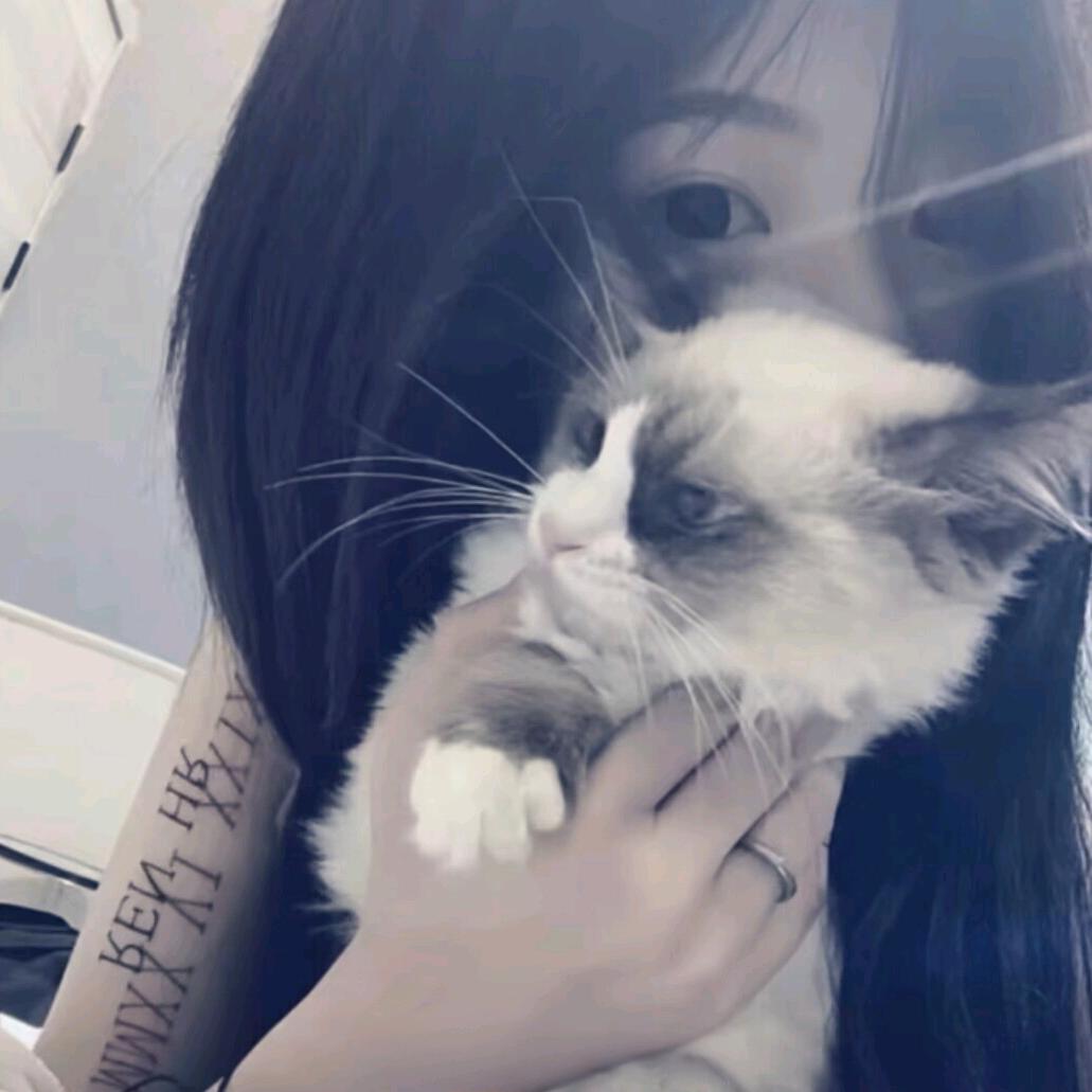 小杏.
