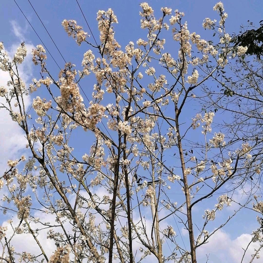 💃🍎新的一天有开始了🍎🏃‍♀