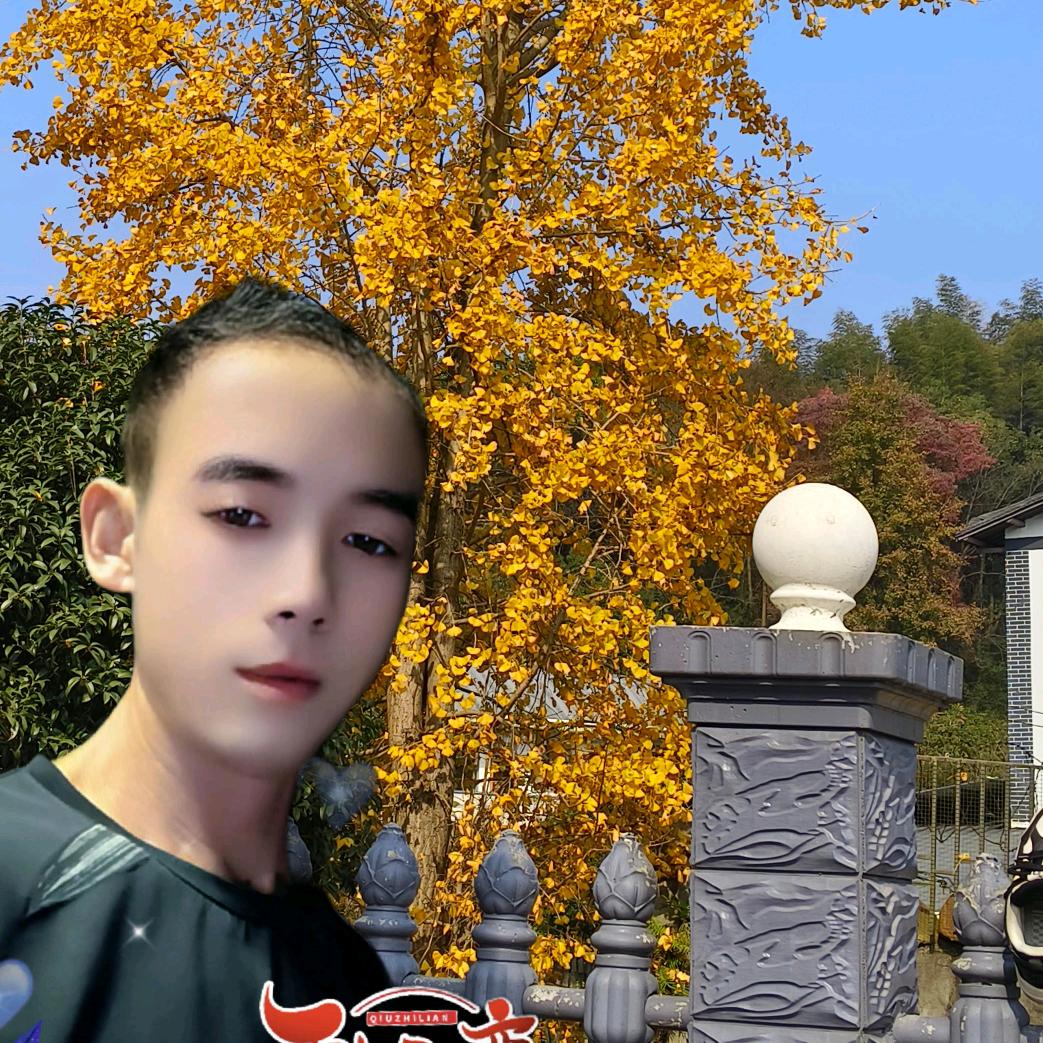 随心缘