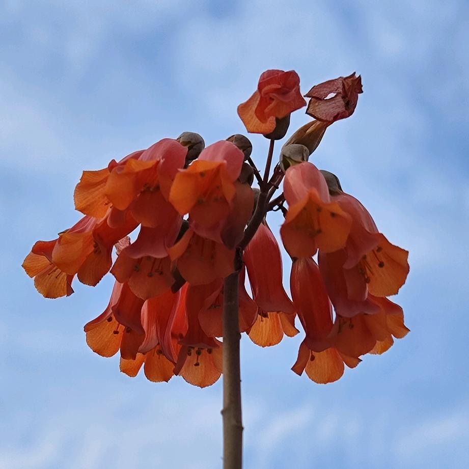 三六五影音专营店