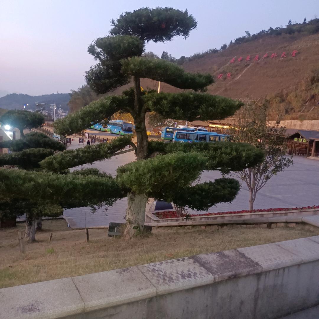 走自己的路劉