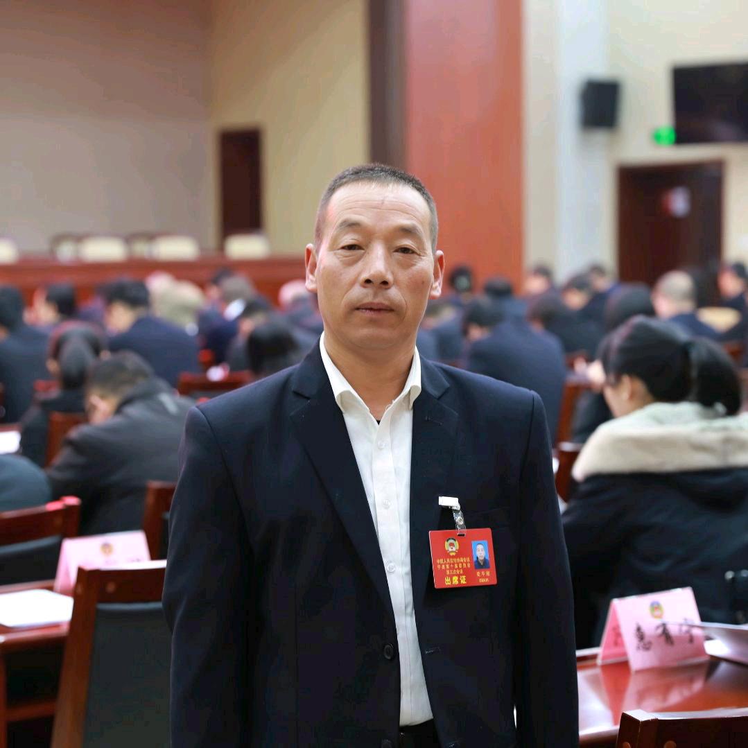 陇上林海773564818981