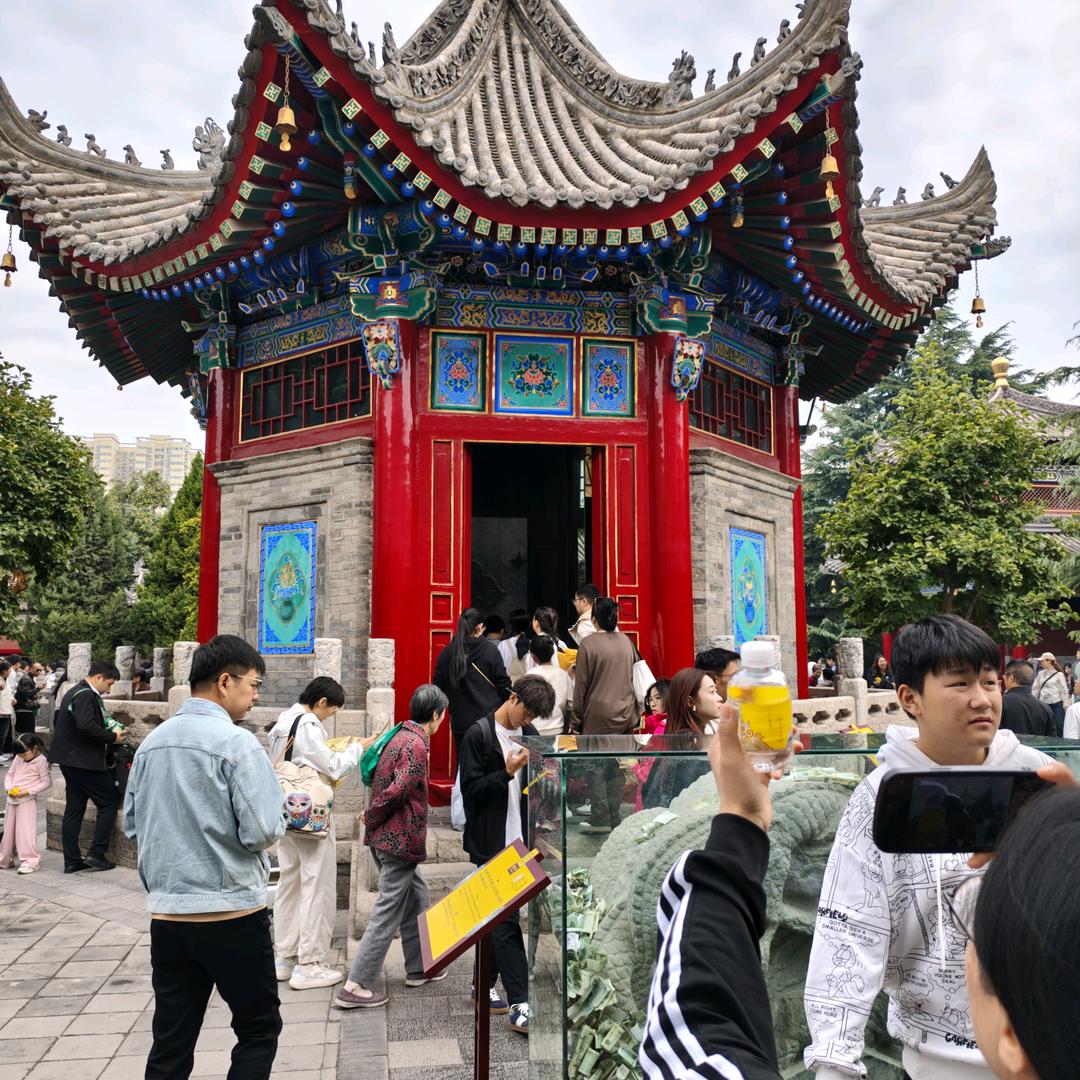 飞鹰