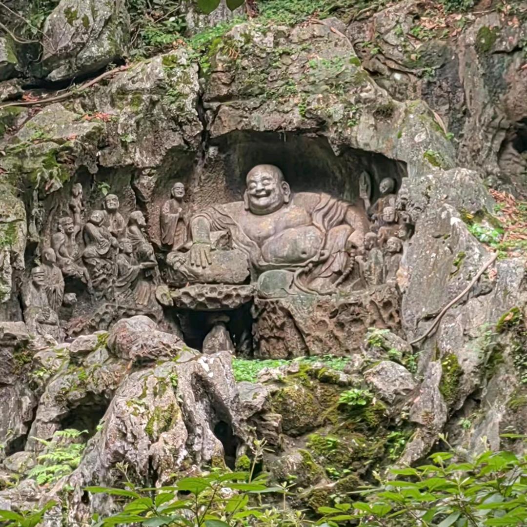 郑有才