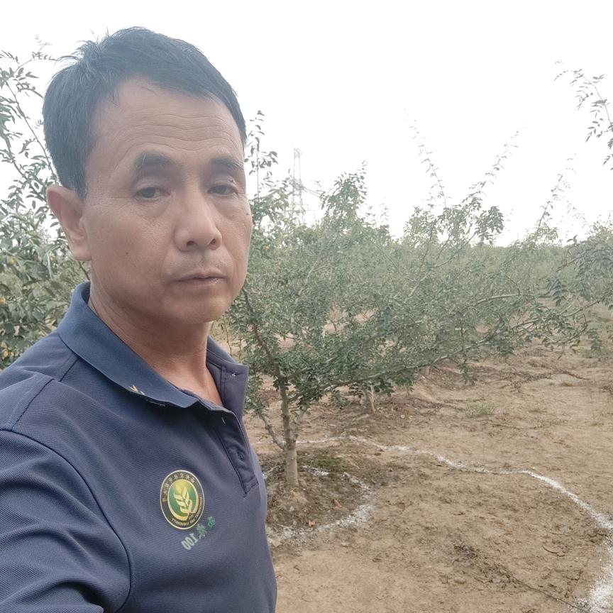 高强娃种子化肥精选铺子