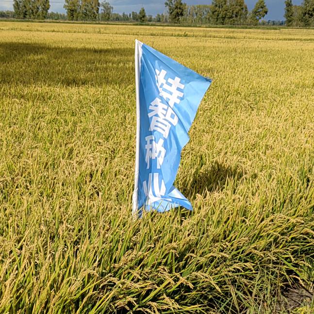 农业高产技术指导