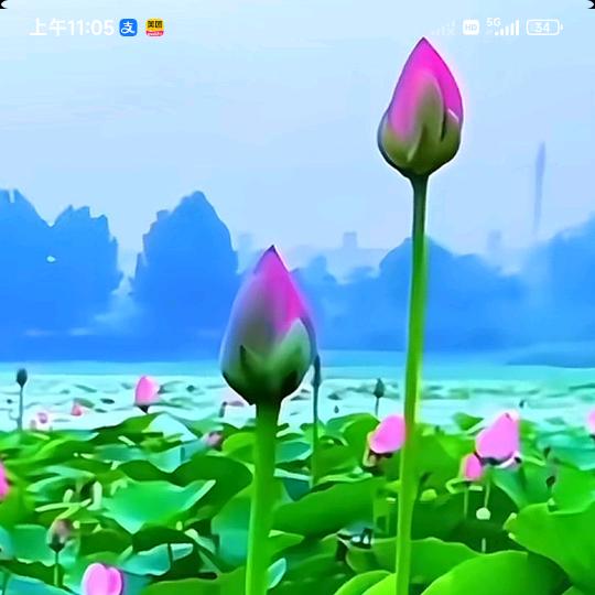 六月飞雪