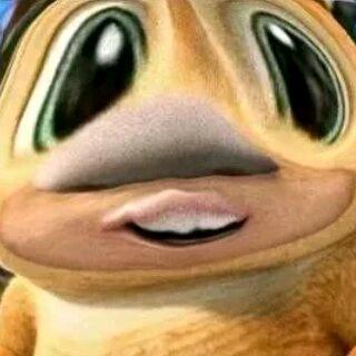 宇弟