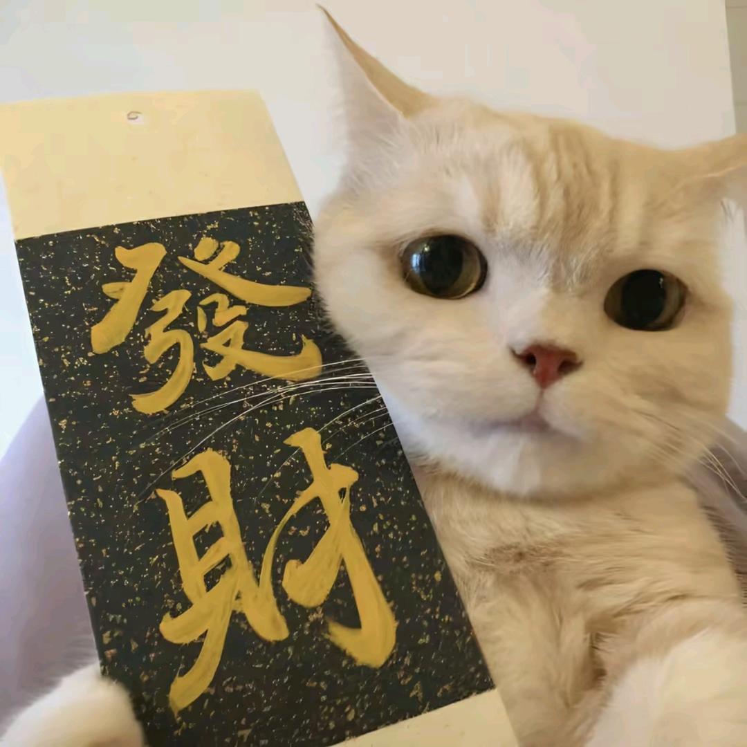 婴语十级安安（宝宝）