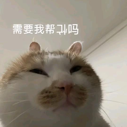 填写名字
