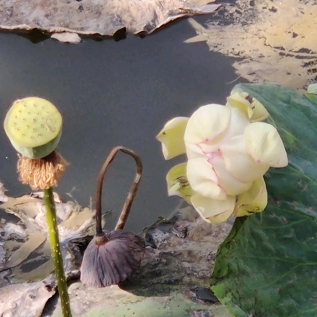 用户3978410283627妞宝宝