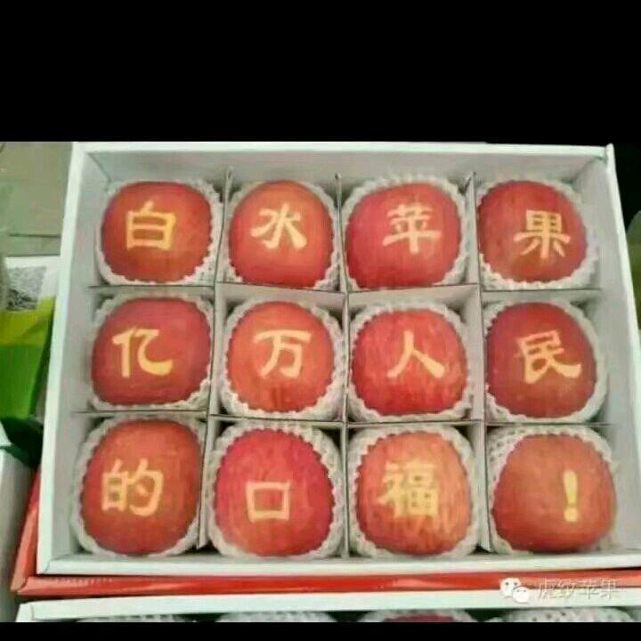 活出自己的范儿