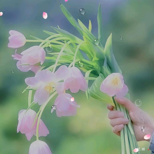梦醒
