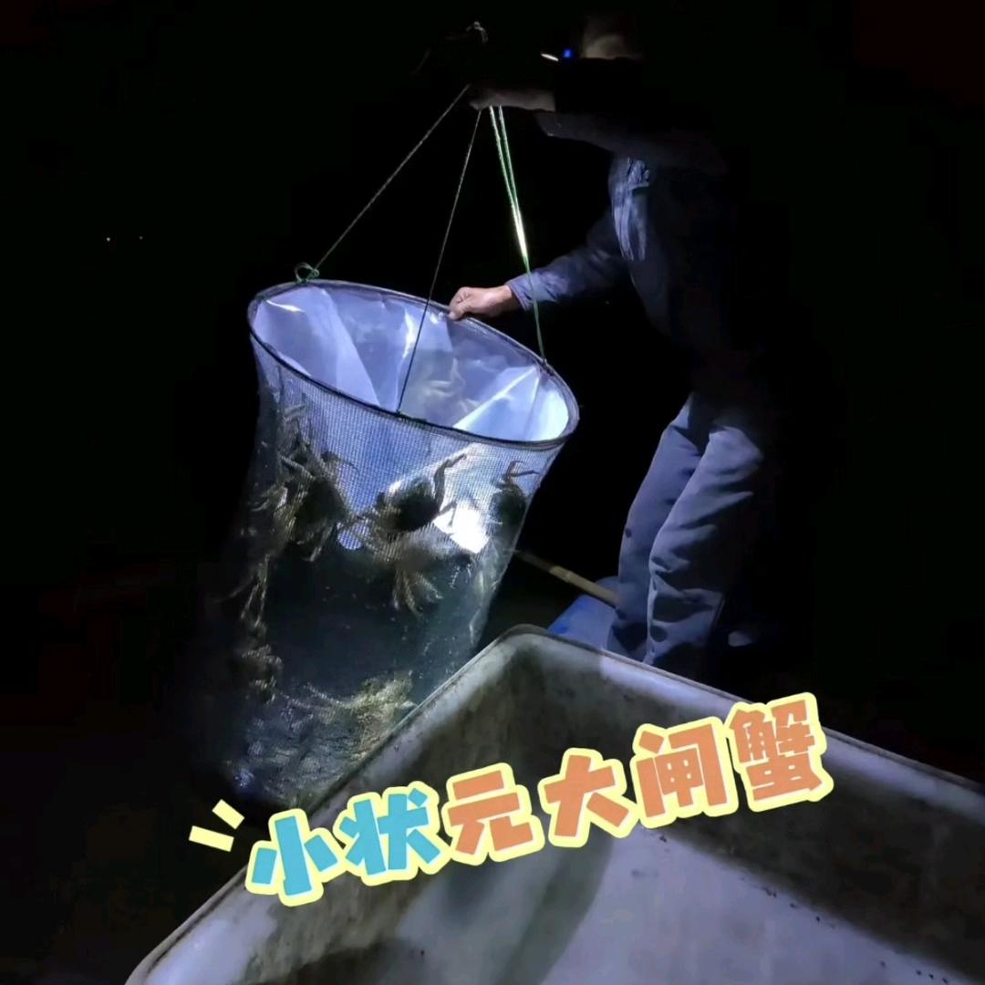 小状元大闸蟹