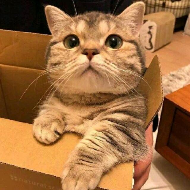 小朱⊙ω⊙