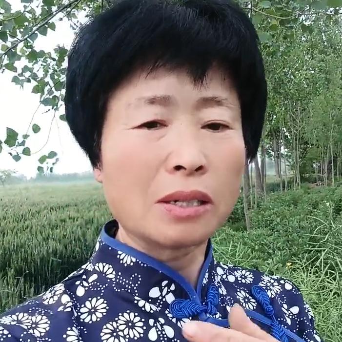 武姐