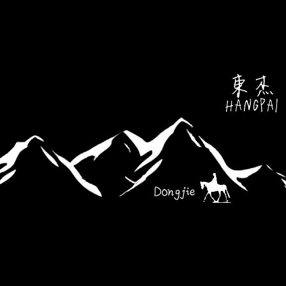 东杰Hpai