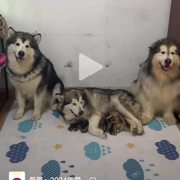 希望美好的。。。。！！