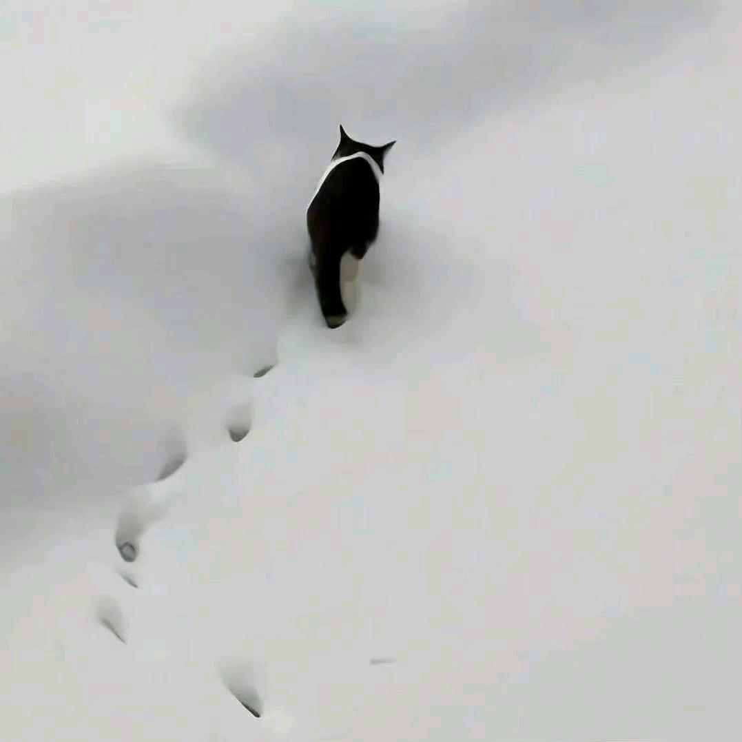 𝘼𝙖𝙧𝙤𝙣..