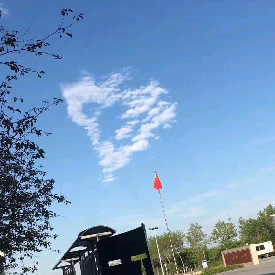 A  小張