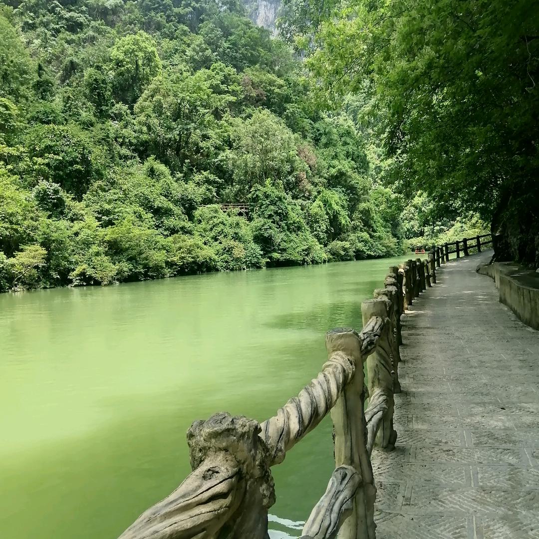 开心就好🌺🌺🌺