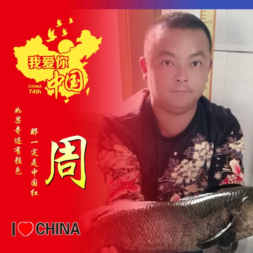 &阿*龙$便仓黑鱼哥