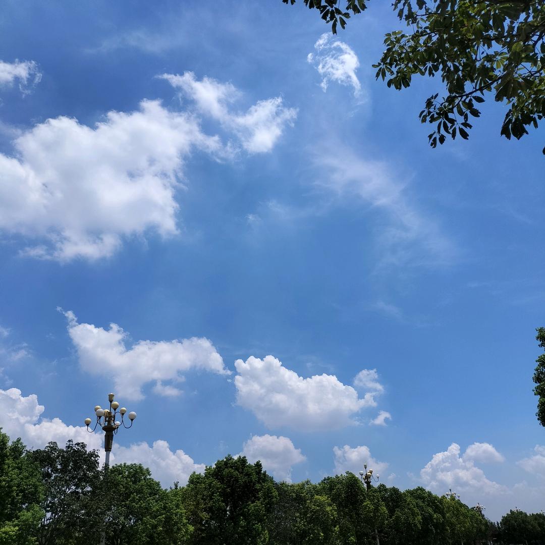 小尤