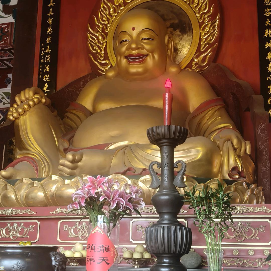 悟慧
