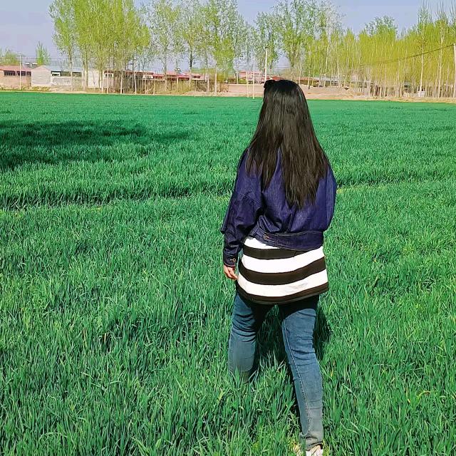 美味的烧鸡