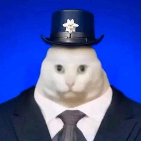 奇真