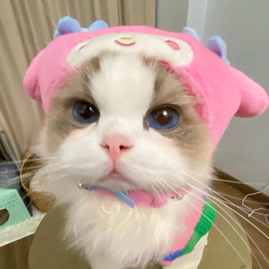 麻薯小喵（只能发表情包）