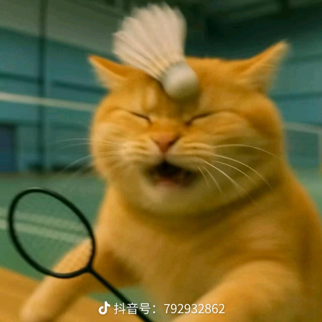 超级丹