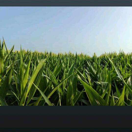 🥀⃟封心᭄锁爱꧀ᩚ࿐