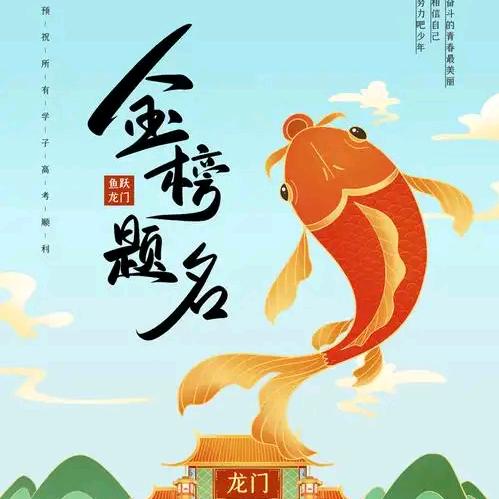 张老师升学规划（九石）