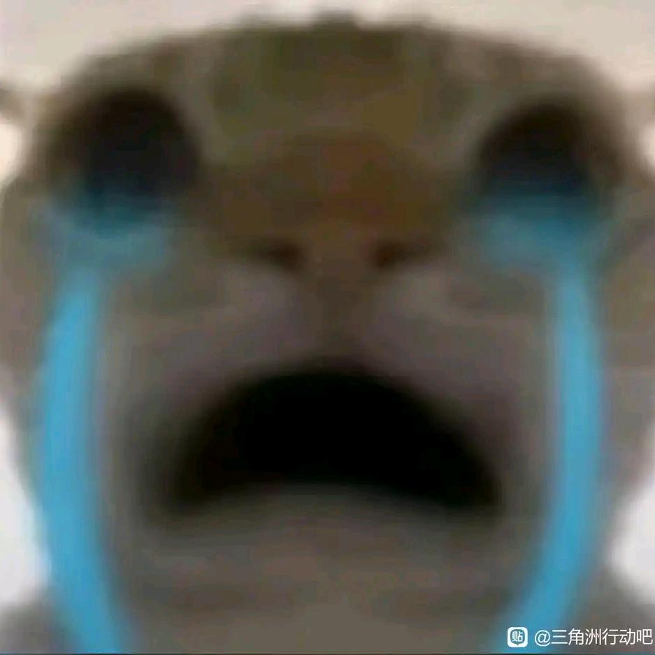 完美哈基峰