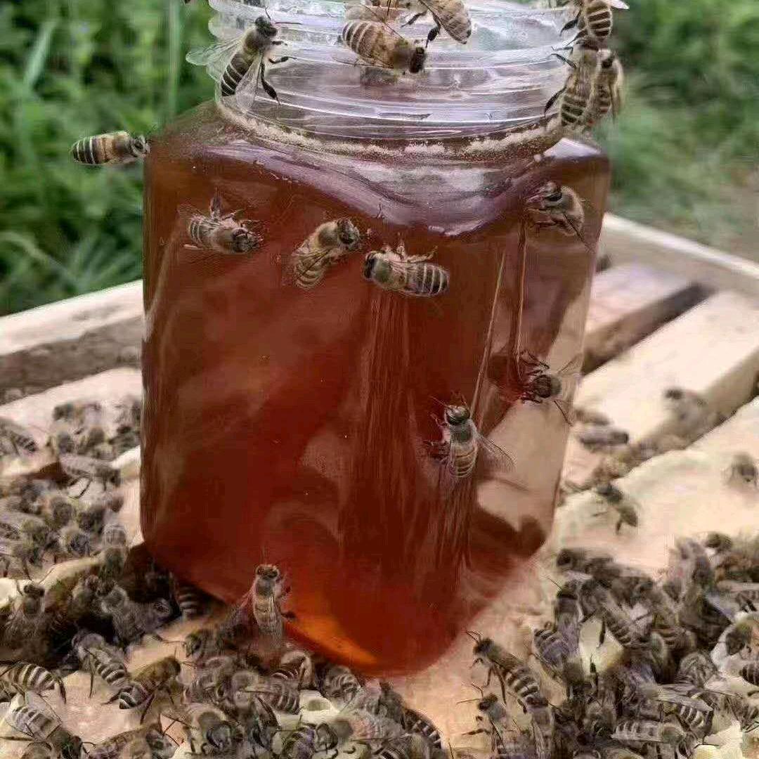 宝建出鞘一天然蜂蜜