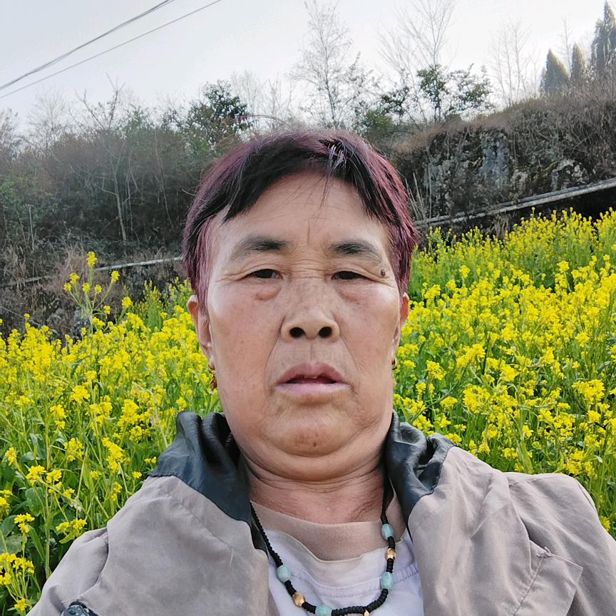 张  姐