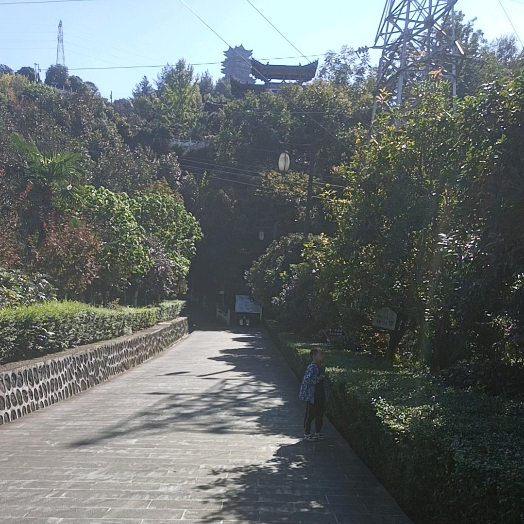 华哥在农村
