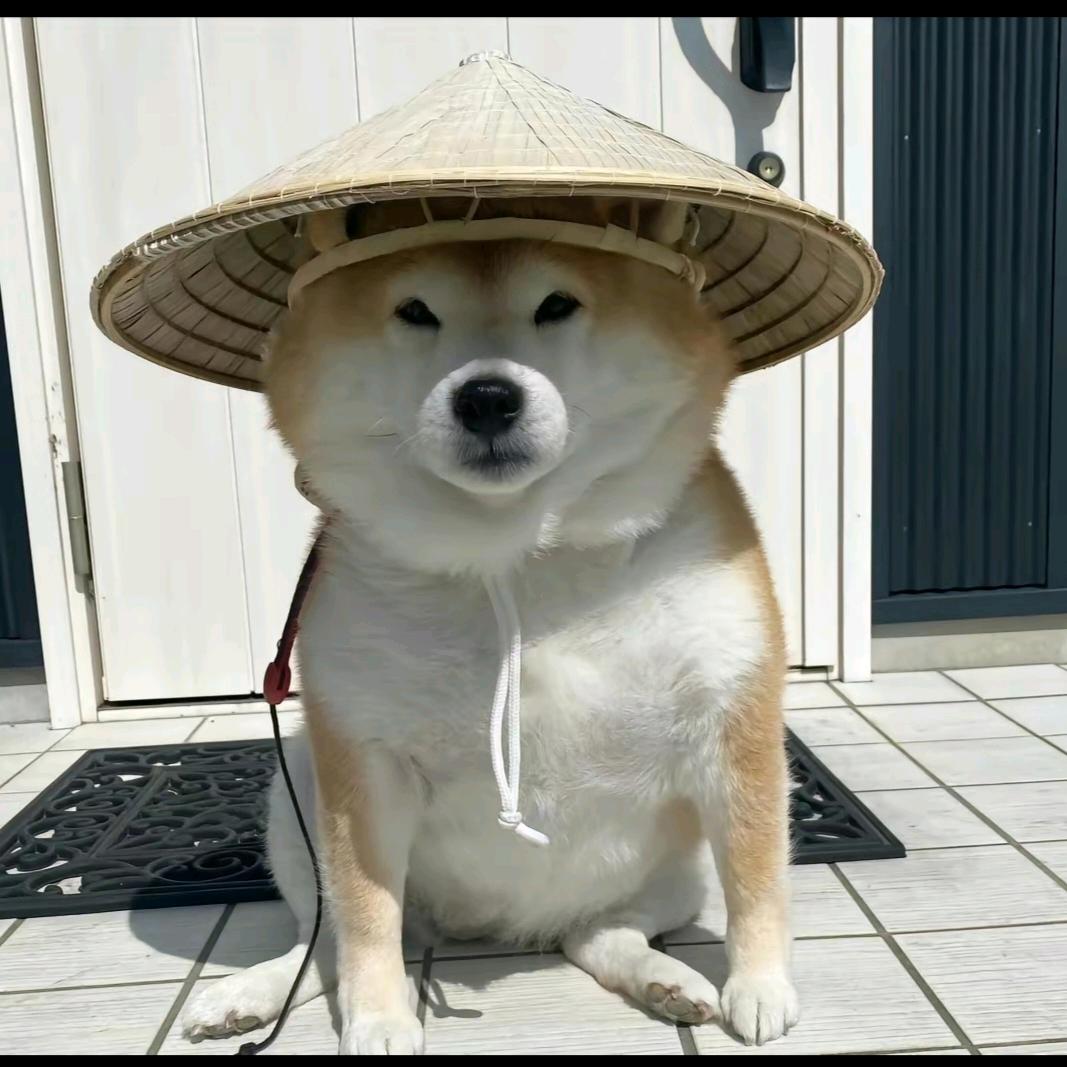 好几迷