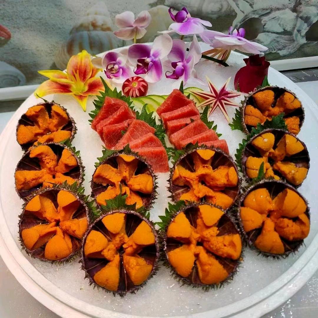 大连海胆
