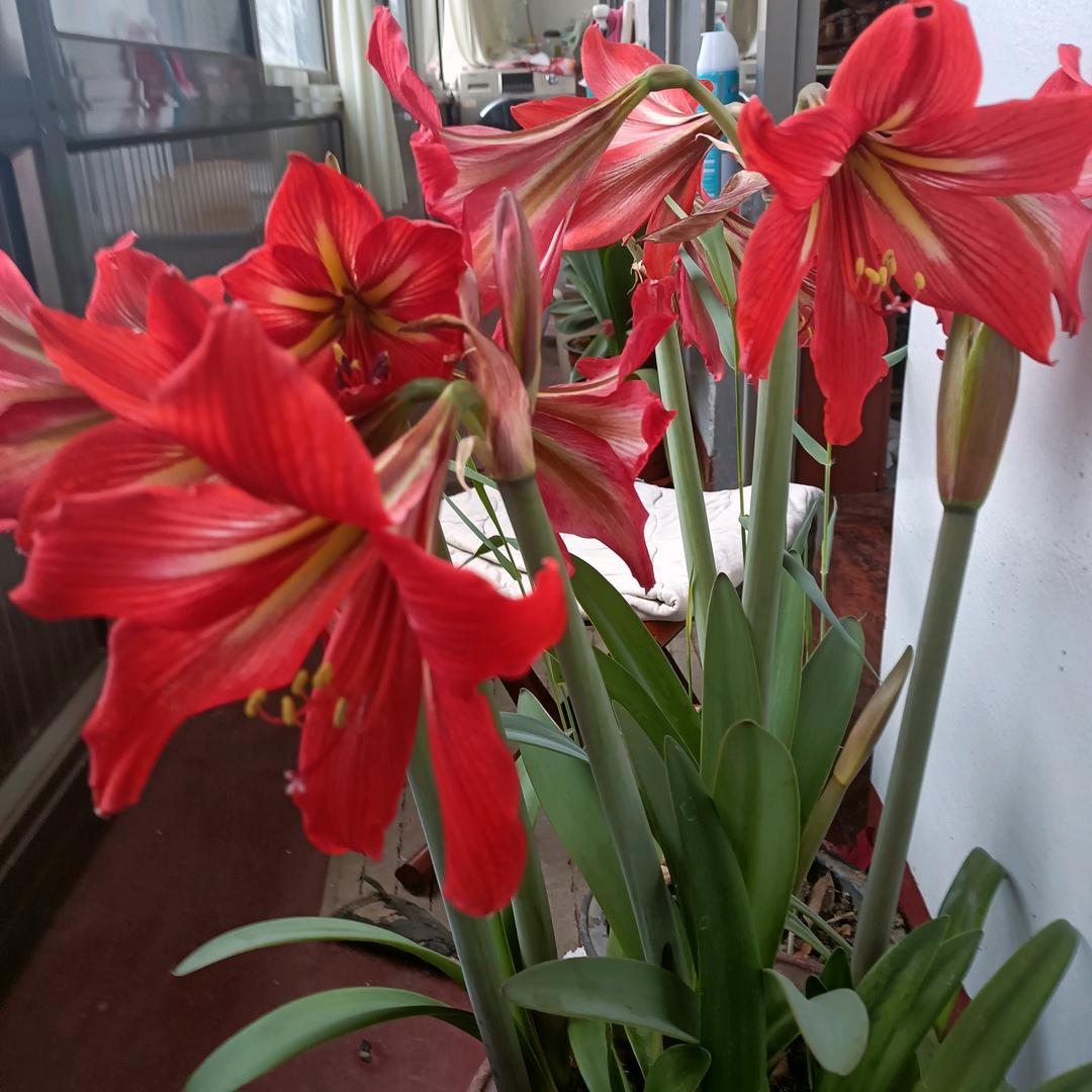阁上德海医药