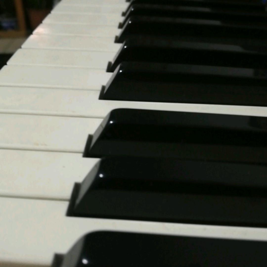 皖念灬冉冉🎹（回森粉丝多）