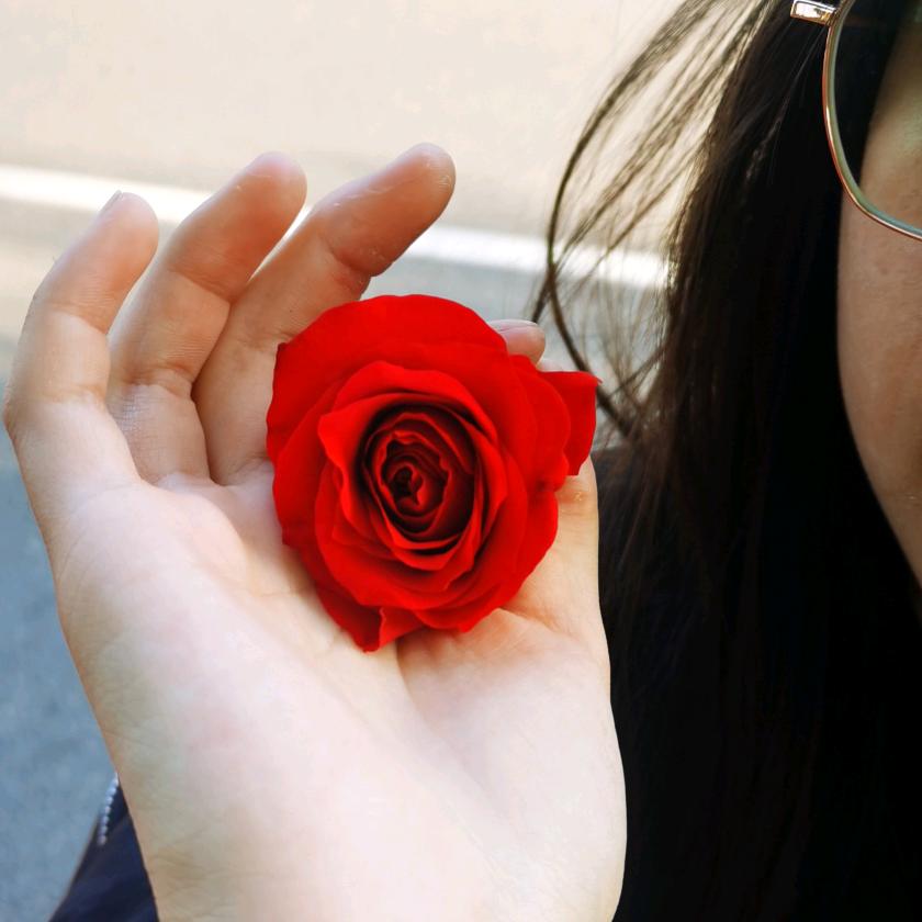 🌹🌹🌹精彩的人生🐏🐉🐉🐂