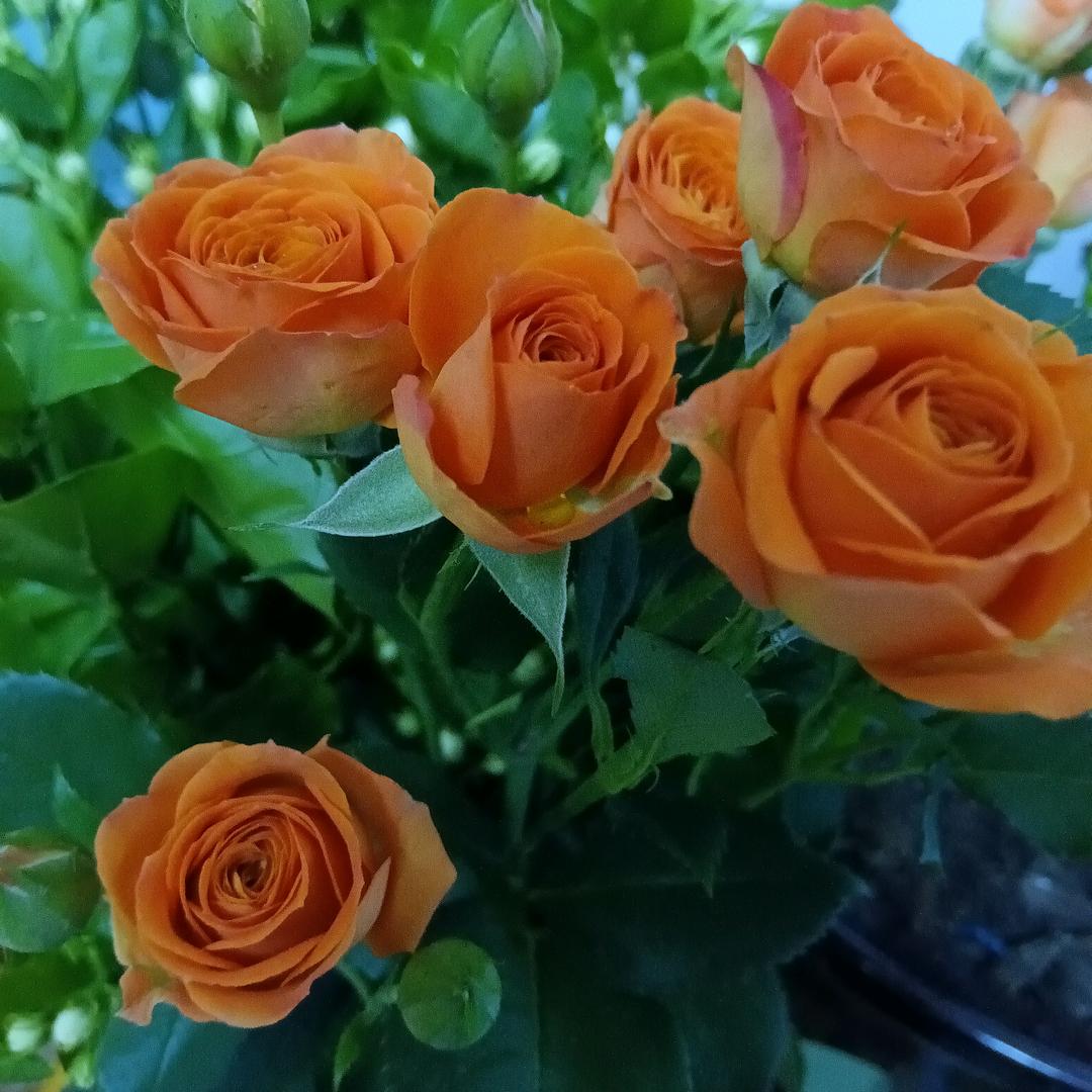 💞L🍒J🍀
