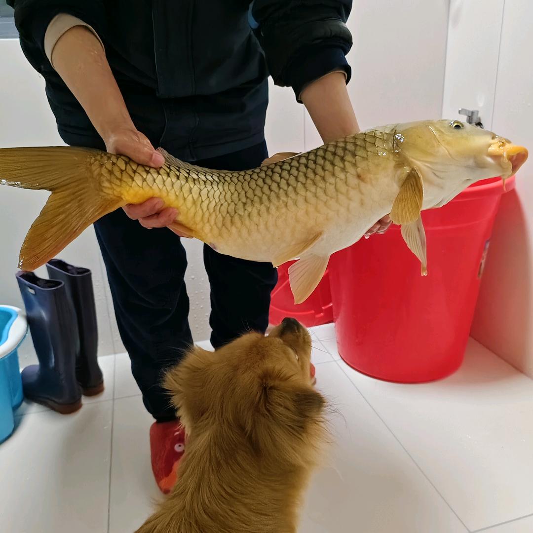 爱上钓🐬的🐍