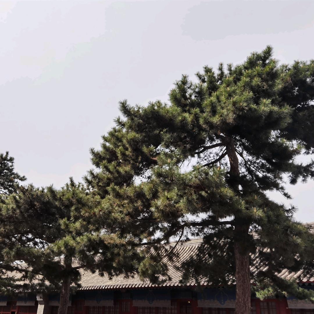 磊³