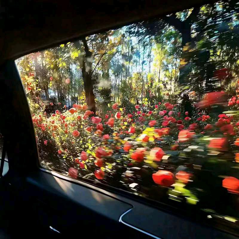 博客速汇