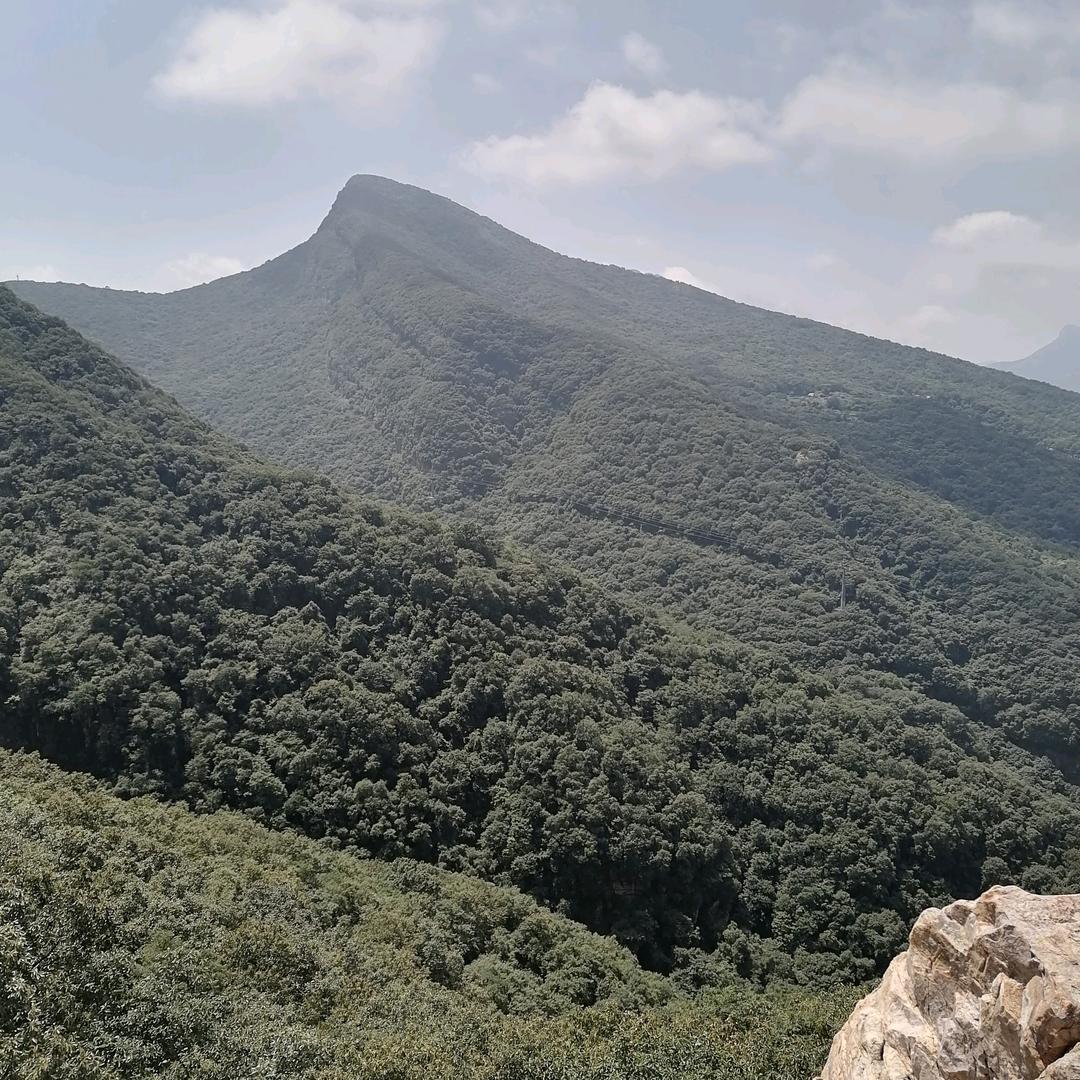 风里雨里等你