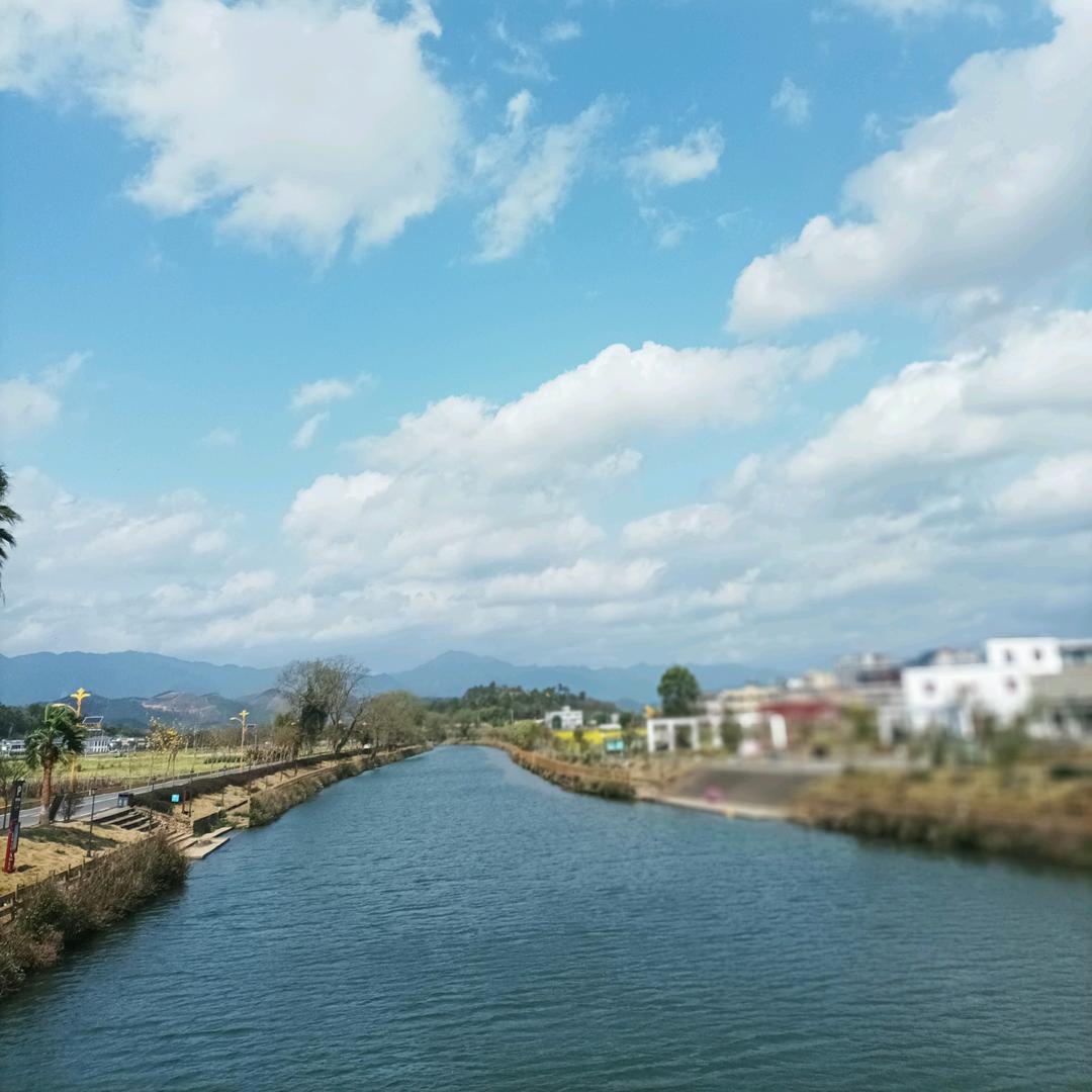 飞飞仔